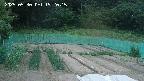 kannonmori-20250530192017.jpg