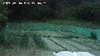 kannonmori-20250530193016.jpg
