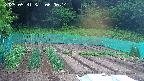 kannonmori-20250531060016.jpg