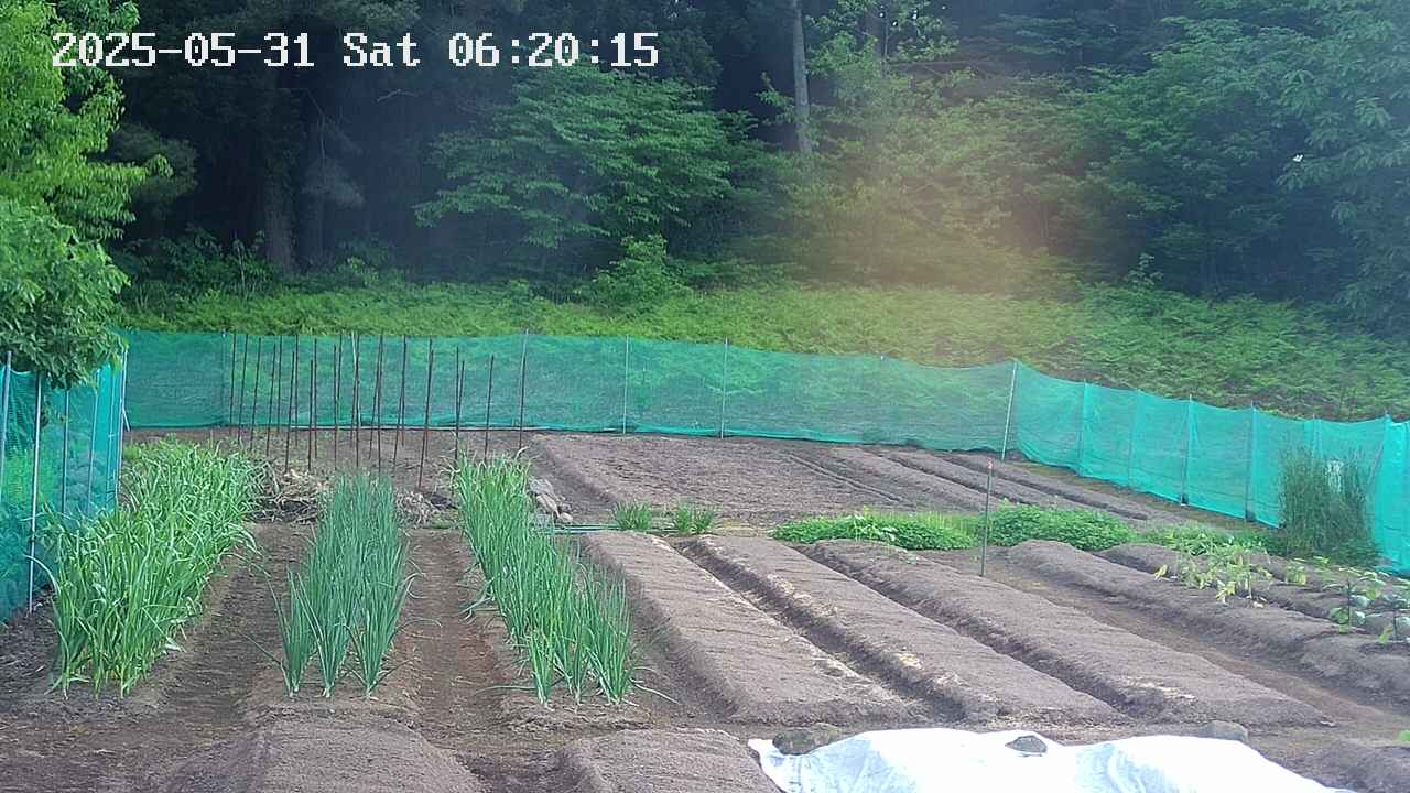 kannonmori-20250531062017.jpg