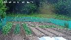 kannonmori-20250531074015.jpg