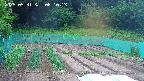 kannonmori-20250531081015.jpg