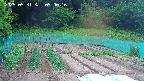 kannonmori-20250531090016.jpg
