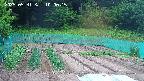 kannonmori-20250531100016.jpg