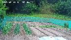 kannonmori-20250531103018.jpg