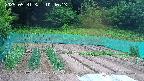 kannonmori-20250531104015.jpg
