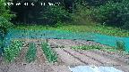 kannonmori-20250531110018.jpg