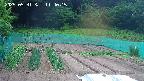 kannonmori-20250531114017.jpg