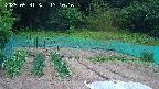 kannonmori-20250531131017.jpg