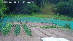 kannonmori-20250531133016.jpg