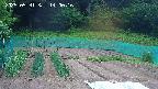 kannonmori-20250531140017.jpg