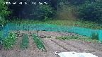 kannonmori-20250531142016.jpg