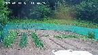kannonmori-20250531145016.jpg