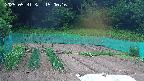 kannonmori-20250531150017.jpg