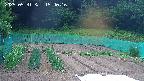 kannonmori-20250531154017.jpg