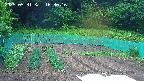 kannonmori-20250531163017.jpg