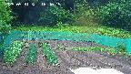 kannonmori-20250531164016.jpg
