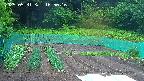 kannonmori-20250531165017.jpg