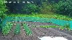 kannonmori-20250531180017.jpg