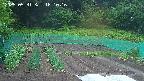 kannonmori-20250531181018.jpg