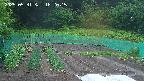 kannonmori-20250531182016.jpg