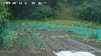 kannonmori-20250531184015.jpg