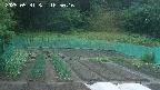 kannonmori-20250531185017.jpg