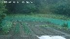 kannonmori-20250531190017.jpg
