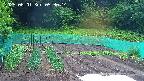 kannonmori-20250601053016.jpg