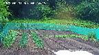 kannonmori-20250601061017.jpg