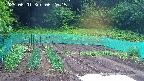 kannonmori-20250601062016.jpg