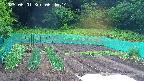 kannonmori-20250601064015.jpg
