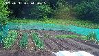 kannonmori-20250601083016.jpg