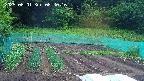 kannonmori-20250601084017.jpg