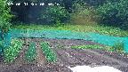 kannonmori-20250601085017.jpg
