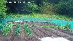 kannonmori-20250601092017.jpg