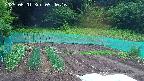 kannonmori-20250601094017.jpg