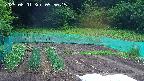 kannonmori-20250601095016.jpg