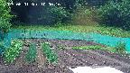 kannonmori-20250601100017.jpg