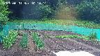 kannonmori-20250601101016.jpg