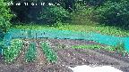 kannonmori-20250601103017.jpg