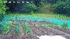kannonmori-20250601104019.jpg