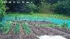 kannonmori-20250601105017.jpg