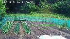 kannonmori-20250601110019.jpg