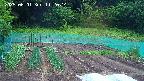 kannonmori-20250601112015.jpg