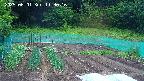 kannonmori-20250601113017.jpg