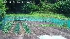 kannonmori-20250601114015.jpg