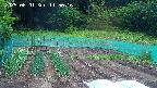 kannonmori-20250601115017.jpg