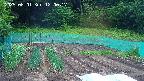kannonmori-20250601120018.jpg