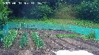 kannonmori-20250601122018.jpg